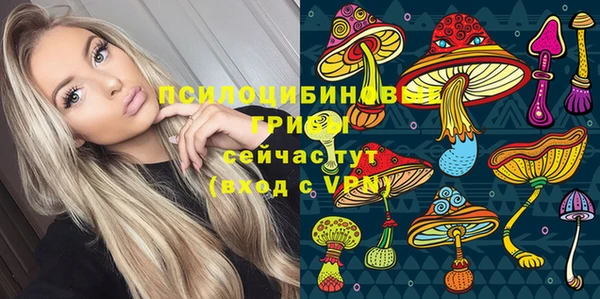 прущий лед Абаза