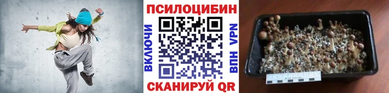 Галлюциногенные грибы ЛСД  мега ссылка  Уфа 